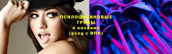 сатива Алексин