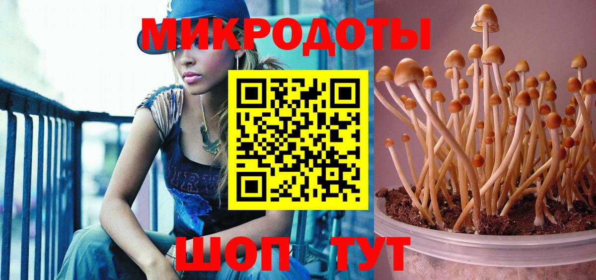 Галлюциногенные грибы Cubensis Апатиты