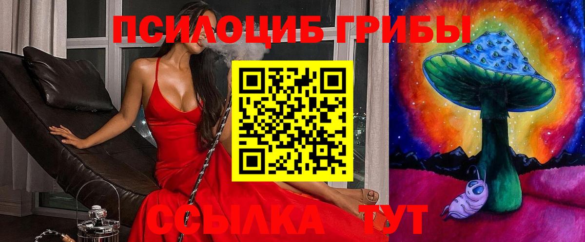 Апатиты  Галлюциногенные грибы MAGIC MUSHROOMS  Псилоцибиновые грибы прущие грибы  Вход с VPN 